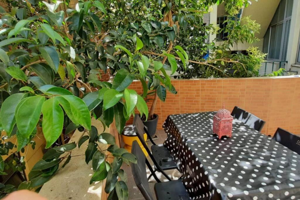 Charming Sunny Terrace / One Bedroom Apartment Lisboa Exteriör bild
